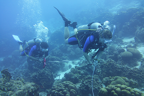 2022 SCUBA Coral Project in the Caribbean Sea