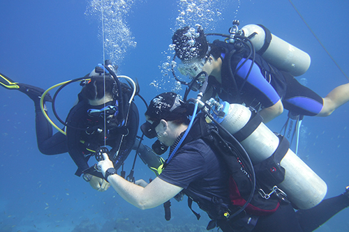 2022 SCUBA Coral Project in the Caribbean Sea