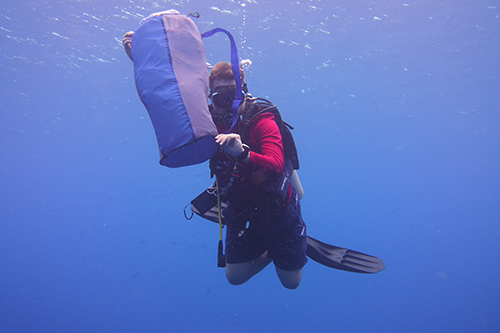 2022 SCUBA Coral Project in the Caribbean Sea