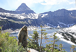 Glacier National Park