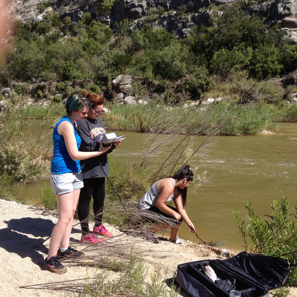 MC Undergraduate Research - Biology