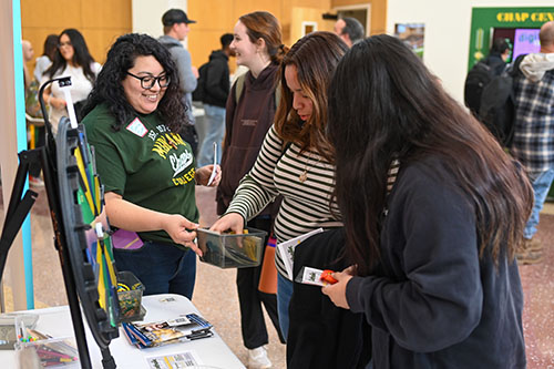 Students at career fair